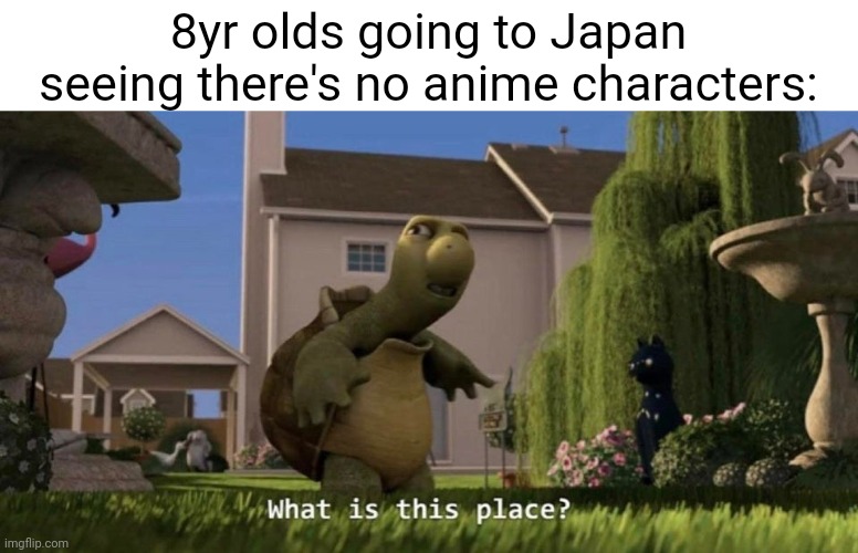 Lol | 8yr olds going to Japan seeing there's no anime characters: | image tagged in what is this place | made w/ Imgflip meme maker