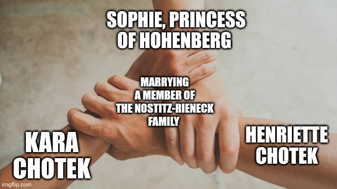 Three hands holding | SOPHIE, PRINCESS OF HOHENBERG; MARRYING A MEMBER OF THE NOSTITZ-RIENECK FAMILY; KARA CHOTEK; HENRIETTE CHOTEK | image tagged in kara chotek,henriette chotek,leopold von nostitz-rieneck,sophie princess of hohenberg,friedrich von nostitz-rieneck | made w/ Imgflip meme maker