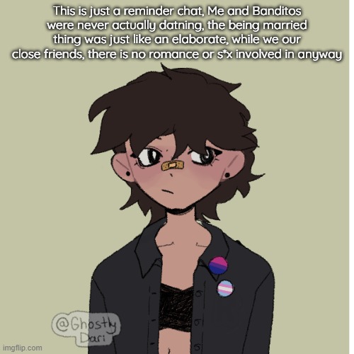 Neko picrew | This is just a reminder chat, Me and Banditos were never actually datning, the being married thing was just like an elaborate, while we our close friends, there is no romance or s*x involved in anyway | image tagged in neko picrew | made w/ Imgflip meme maker