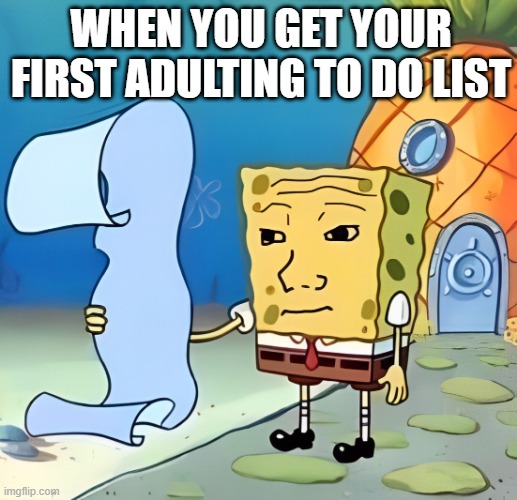 That feeling! | WHEN YOU GET YOUR FIRST ADULTING TO DO LIST | image tagged in memes | made w/ Imgflip meme maker