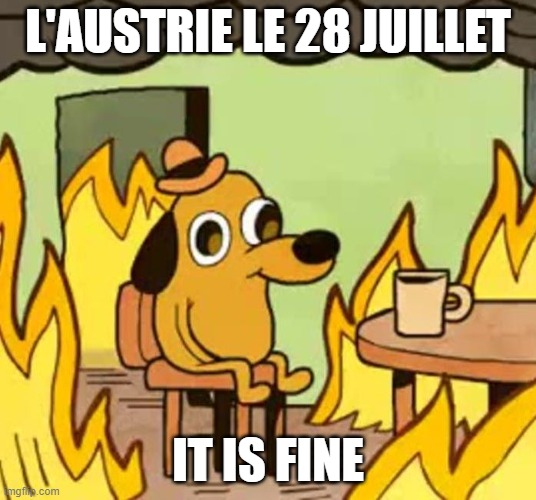 Its fine | L'AUSTRIE LE 28 JUILLET; IT IS FINE | image tagged in its fine | made w/ Imgflip meme maker