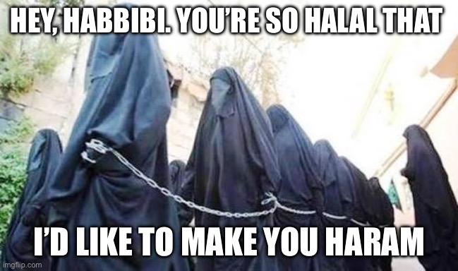 Muslim woman | HEY, HABBIBI. YOU’RE SO HALAL THAT; I’D LIKE TO MAKE YOU HARAM | image tagged in muslim woman,funny,funny memes,flirting | made w/ Imgflip meme maker