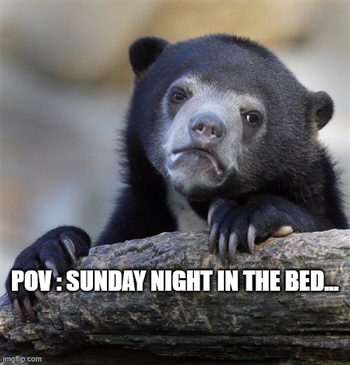 It's sunday... | POV : SUNDAY NIGHT IN THE BED... | image tagged in memes,confession bear | made w/ Imgflip meme maker