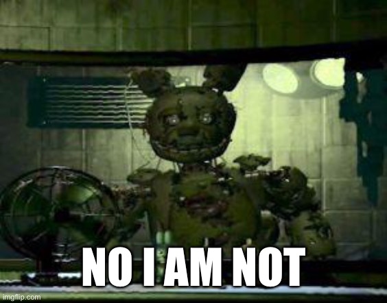 FNAF Springtrap in window | NO I AM NOT | image tagged in fnaf springtrap in window | made w/ Imgflip meme maker