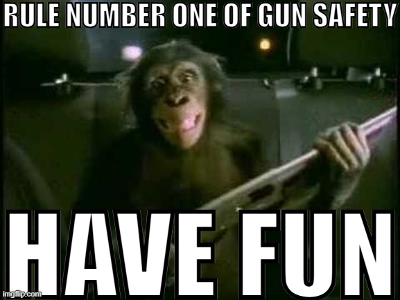 it's the rules | RULE NUMBER ONE OF GUN SAFETY; HAVE FUN | image tagged in trunk monkey with gun,guns,funny memes,why are you reading the tags,if you read this tag you are cursed | made w/ Imgflip meme maker