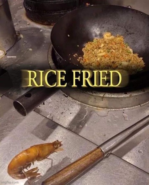 Rice fried | image tagged in funny,memes,shitpost,repost | made w/ Imgflip meme maker