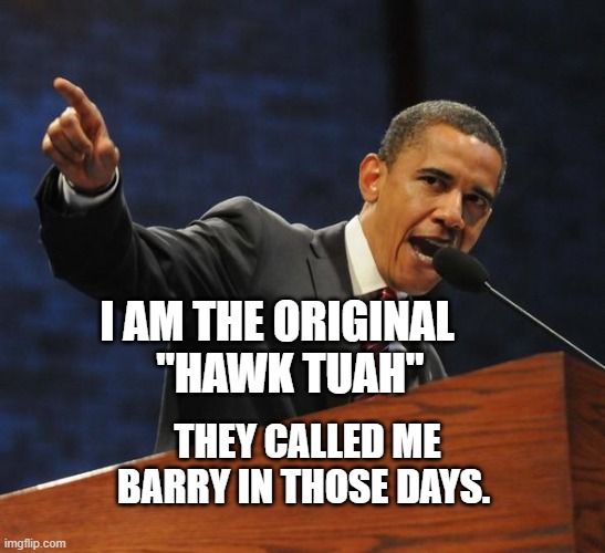 The Obama Affirmation | I AM THE ORIGINAL      "HAWK TUAH"; THEY CALLED ME BARRY IN THOSE DAYS. | image tagged in the obama affirmation | made w/ Imgflip meme maker