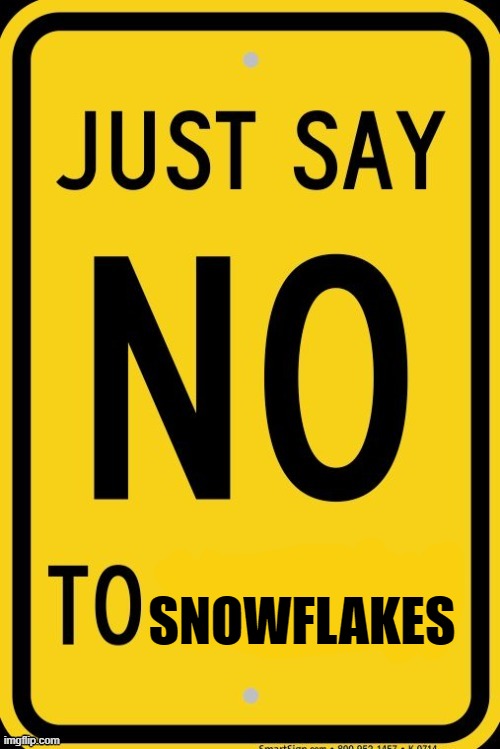 #SNOWAREGOINTOEND | SNOWFLAKES | image tagged in say no to ____ sign | made w/ Imgflip meme maker