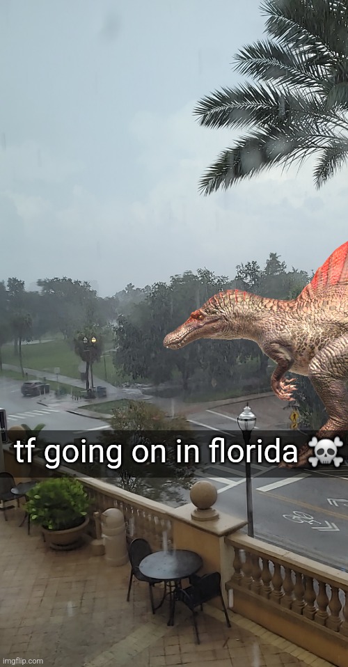 tf going on in florida ☠️ | made w/ Imgflip meme maker