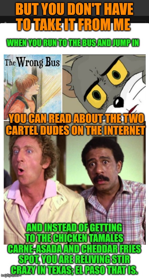 Funny | BUT YOU DON'T HAVE TO TAKE IT FROM ME; YOU CAN READ ABOUT THE TWO CARTEL DUDES ON THE INTERNET | image tagged in funny,airplane,airplane wrong week,war on drugs,texas,border | made w/ Imgflip meme maker