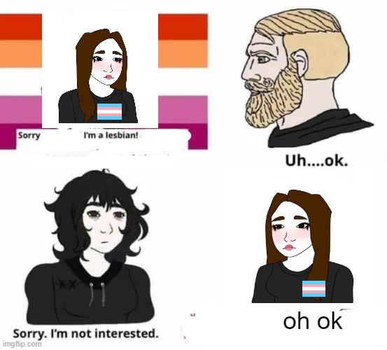 Fixing transphobic memes | oh ok | made w/ Imgflip meme maker