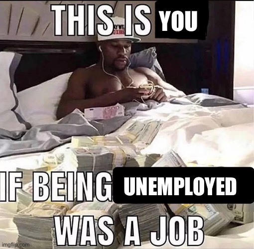 This is me If being X was a job | YOU; UNEMPLOYED | image tagged in this is me if being x was a job | made w/ Imgflip meme maker