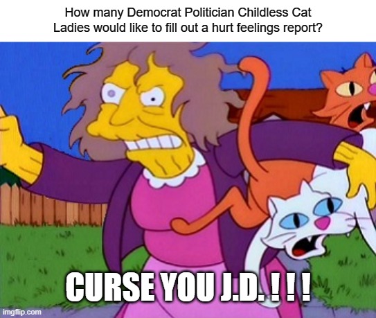 Hurt Feelings Report for Angry Old Democrat Politician Childless Cat Ladies? | How many Democrat Politician Childless Cat Ladies would like to fill out a hurt feelings report? CURSE YOU J.D. ! ! ! | image tagged in angry old cat lady,democrat politicians | made w/ Imgflip meme maker