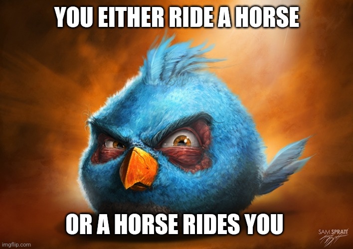 Wisdom | YOU EITHER RIDE A HORSE; OR A HORSE RIDES YOU | image tagged in angry birds blue | made w/ Imgflip meme maker