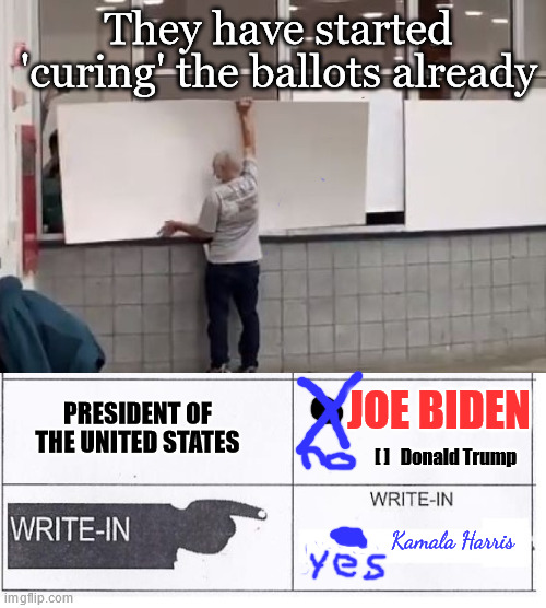 Vote Early, Vote Often | They have started 'curing' the ballots already; JOE BIDEN; PRESIDENT OF THE UNITED STATES; [ ]   Donald Trump; Kamala Harris | image tagged in detroit vote 2020,write in ballot | made w/ Imgflip meme maker