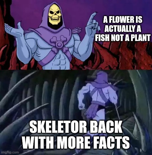 EXCUSE ME WHAT? | A FLOWER IS ACTUALLY A FISH NOT A PLANT; SKELETOR BACK WITH MORE FACTS | image tagged in skeletor says something then runs away | made w/ Imgflip meme maker