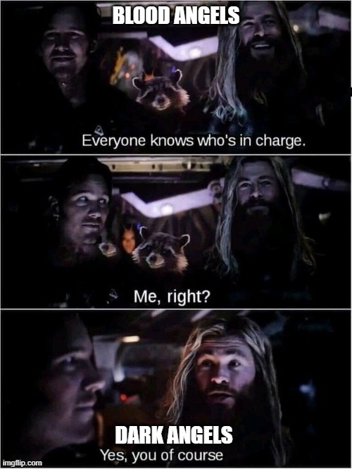 Dark Angels are better | BLOOD ANGELS; DARK ANGELS | image tagged in in charge thor starlord | made w/ Imgflip meme maker