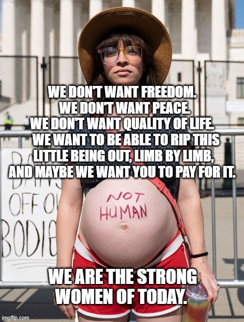 Crazy lady | WE DON'T WANT FREEDOM.       WE DON'T WANT PEACE.    
 WE DON'T WANT QUALITY OF LIFE.     WE WANT TO BE ABLE TO RIP THIS LITTLE BEING OUT, LIMB BY LIMB, AND MAYBE WE WANT YOU TO PAY FOR IT. WE ARE THE STRONG WOMEN OF TODAY. | image tagged in crazy lady | made w/ Imgflip meme maker