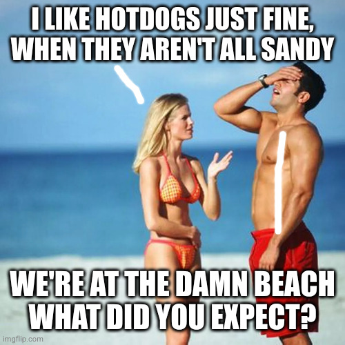 I LIKE HOTDOGS JUST FINE, WHEN THEY AREN'T ALL SANDY WE'RE AT THE DAMN BEACH
WHAT DID YOU EXPECT? | made w/ Imgflip meme maker