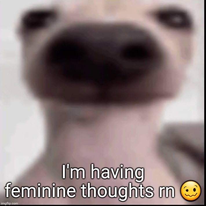 poopy | I'm having feminine thoughts rn 🥴 | image tagged in poopy | made w/ Imgflip meme maker