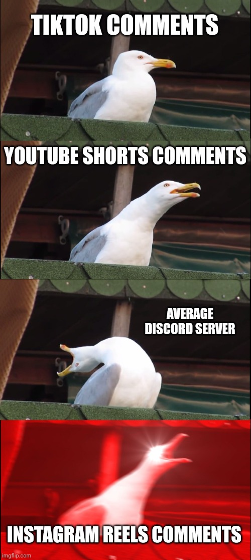 Inhaling Seagull | TIKTOK COMMENTS; YOUTUBE SHORTS COMMENTS; AVERAGE DISCORD SERVER; INSTAGRAM REELS COMMENTS | image tagged in memes,inhaling seagull,comments | made w/ Imgflip meme maker