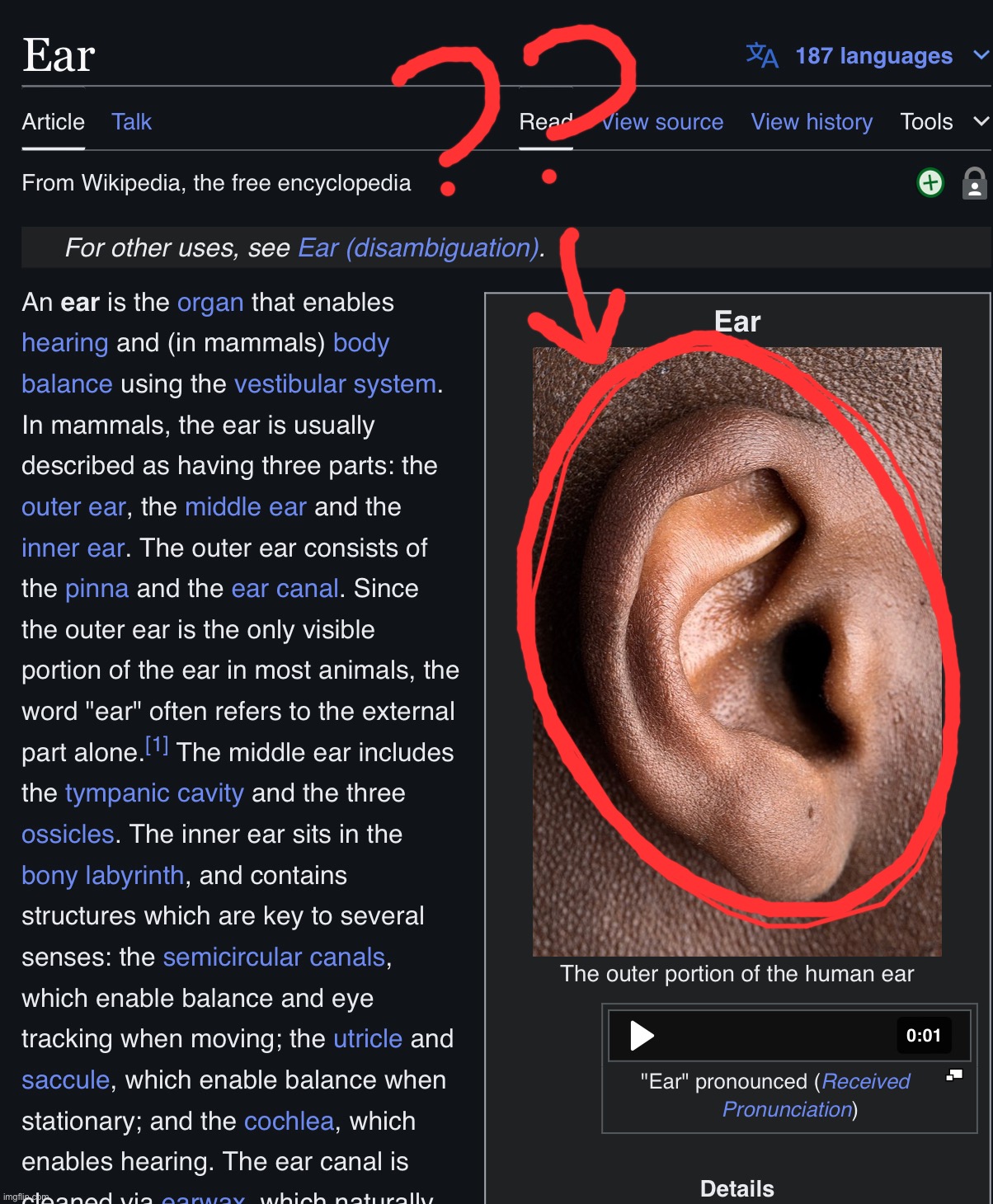 guys what is this thing I have on the sides of my head????? | made w/ Imgflip meme maker