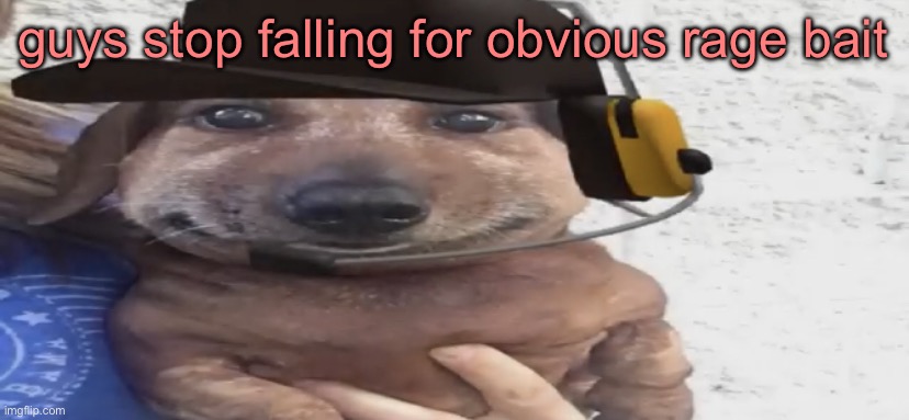 chucklenuts | guys stop falling for obvious rage bait | image tagged in chucklenuts | made w/ Imgflip meme maker