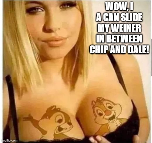 Chip and Dale | WOW, I A CAN SLIDE MY WEINER IN BETWEEN CHIP AND DALE! | image tagged in sex jokes | made w/ Imgflip meme maker