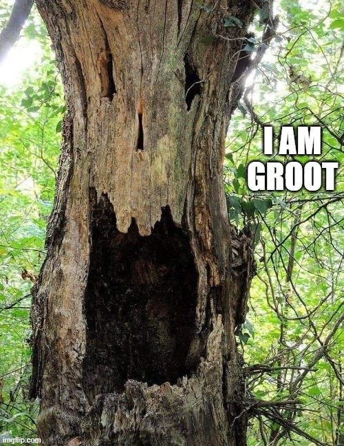 memes by Brad - I am Groot. Guardians of the Galaxy | I AM GROOT | image tagged in funny,fun,i am groot,guardians of the galaxy,groot,humor | made w/ Imgflip meme maker