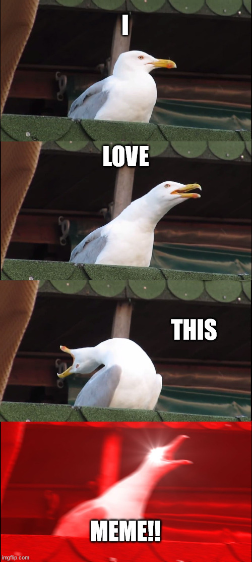 Inhaling Seagull | I; LOVE; THIS; MEME!! | image tagged in memes,inhaling seagull | made w/ Imgflip meme maker