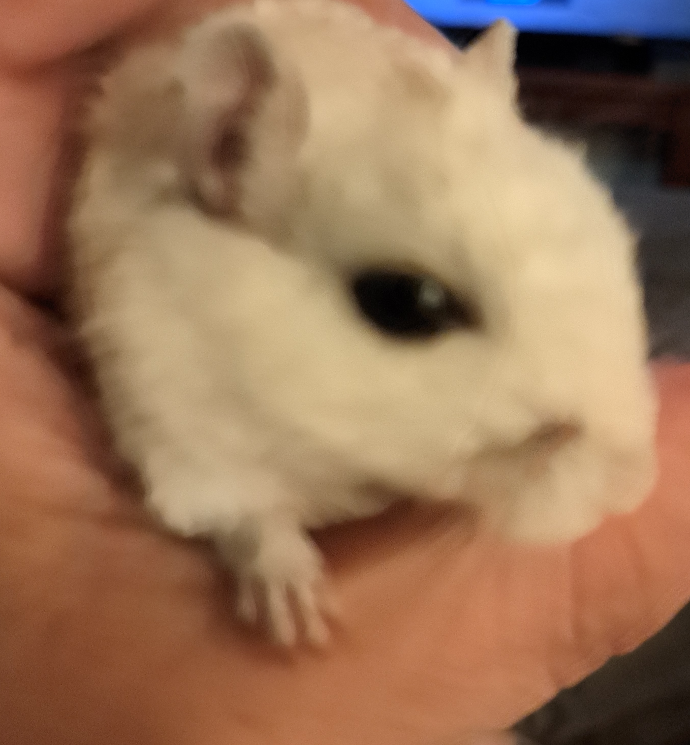 High Quality Frosty Blank Meme Template