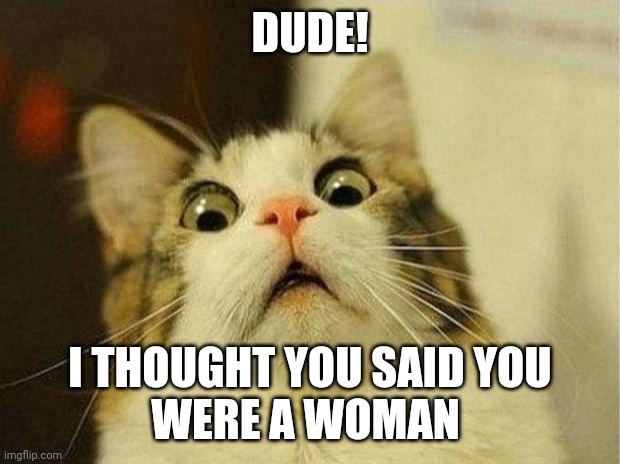 Scared Cat Meme | DUDE! I THOUGHT YOU SAID YOU
WERE A WOMAN | image tagged in memes,scared cat | made w/ Imgflip meme maker