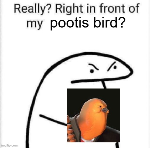 Really, right in front of my | pootis bird? | image tagged in really right in front of my,tf2,bird | made w/ Imgflip meme maker