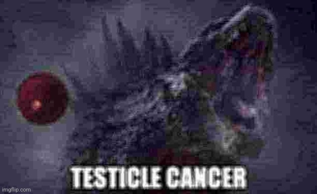 d | image tagged in testicle cancer | made w/ Imgflip meme maker