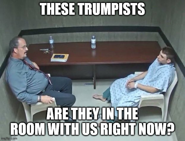 Are they in the room with us right now? | THESE TRUMPISTS; ARE THEY IN THE ROOM WITH US RIGHT NOW? | image tagged in are they in the room with us right now | made w/ Imgflip meme maker