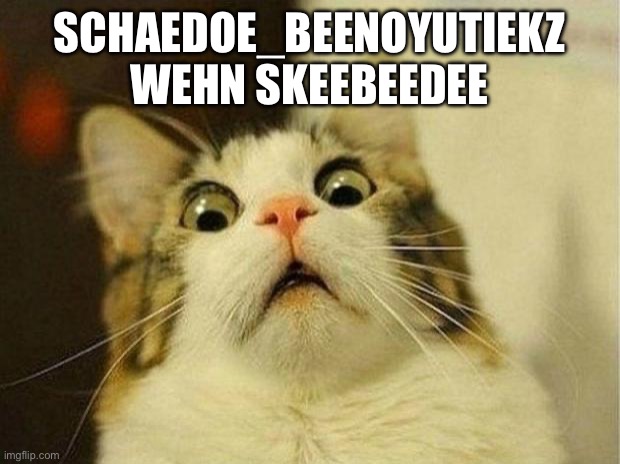 Scared Cat Meme | SCHAEDOE_BEENOYUTIEKZ WEHN SKEEBEEDEE | image tagged in memes,scared cat | made w/ Imgflip meme maker