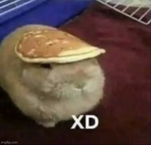 Xd | made w/ Imgflip meme maker