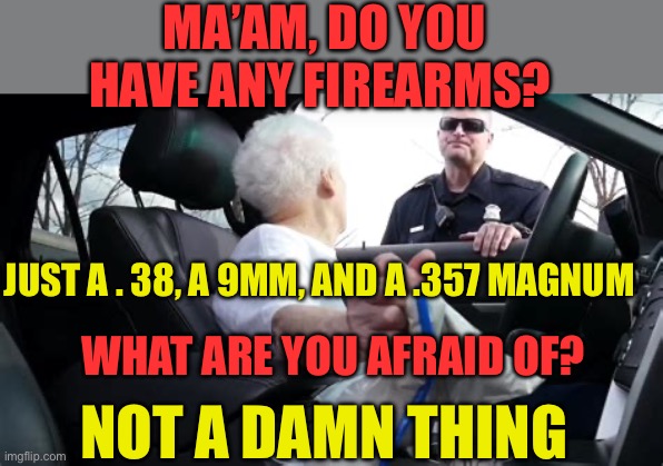 Not afraid | MA’AM, DO YOU HAVE ANY FIREARMS? JUST A . 38, A 9MM, AND A .357 MAGNUM; WHAT ARE YOU AFRAID OF? NOT A DAMN THING | image tagged in gifs,funny,guns,old lady | made w/ Imgflip meme maker