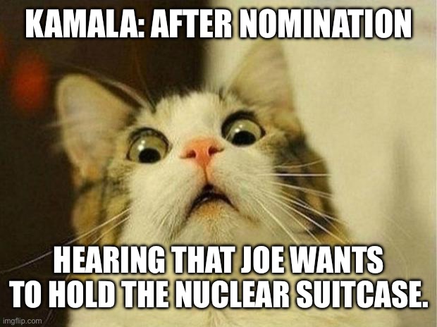 Scared Cat Meme | KAMALA: AFTER NOMINATION; HEARING THAT JOE WANTS TO HOLD THE NUCLEAR SUITCASE. | image tagged in memes,scared cat | made w/ Imgflip meme maker