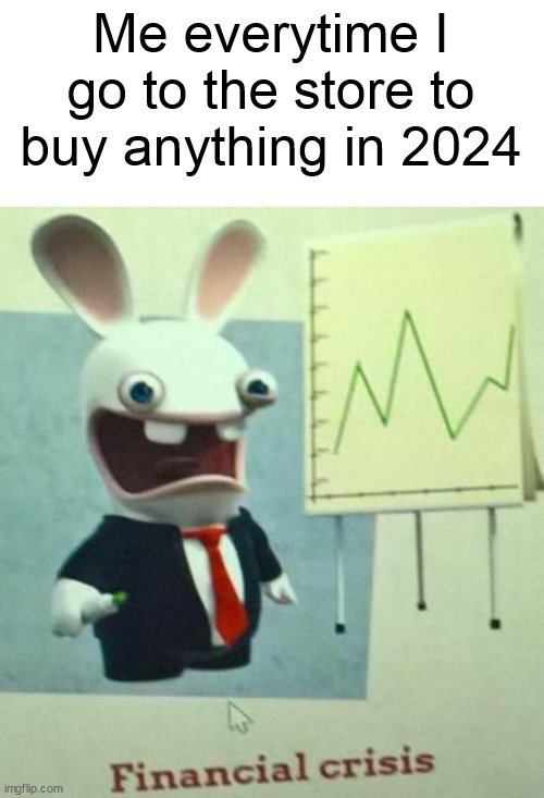 it's real | Me everytime I go to the store to buy anything in 2024 | image tagged in financial crisis,inflation,finance,money,2024 | made w/ Imgflip meme maker