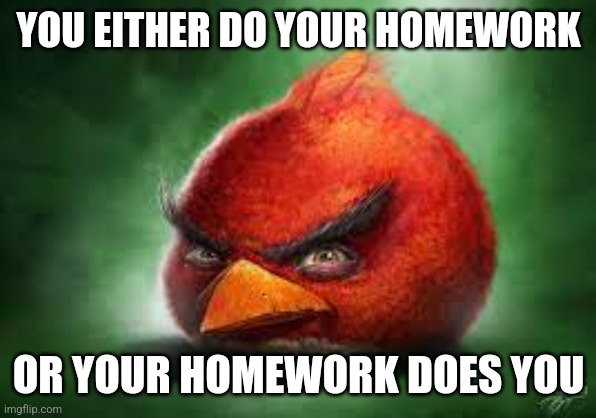 Funny | YOU EITHER DO YOUR HOMEWORK; OR YOUR HOMEWORK DOES YOU | image tagged in realistic red angry birds | made w/ Imgflip meme maker