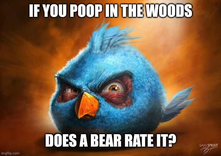 Dose a bear rate it | IF YOU POOP IN THE WOODS; DOES A BEAR RATE IT? | image tagged in angry birds blue | made w/ Imgflip meme maker