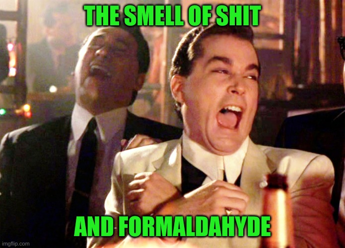 Good Fellas Hilarious Meme | THE SMELL OF SHIT AND FORMALDAHYDE | image tagged in memes,good fellas hilarious | made w/ Imgflip meme maker