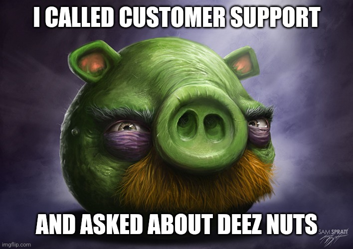 Did that once | I CALLED CUSTOMER SUPPORT; AND ASKED ABOUT DEEZ NUTS | image tagged in realistic angry birds | made w/ Imgflip meme maker