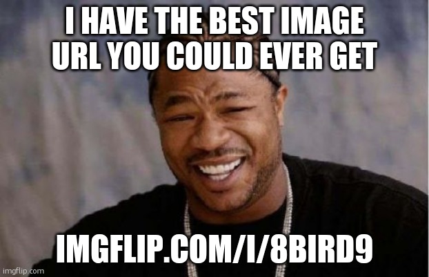 Yo Dawg Heard You Meme | I HAVE THE BEST IMAGE URL YOU COULD EVER GET; IMGFLIP.COM/I/8BIRD9 | image tagged in memes,yo dawg heard you | made w/ Imgflip meme maker