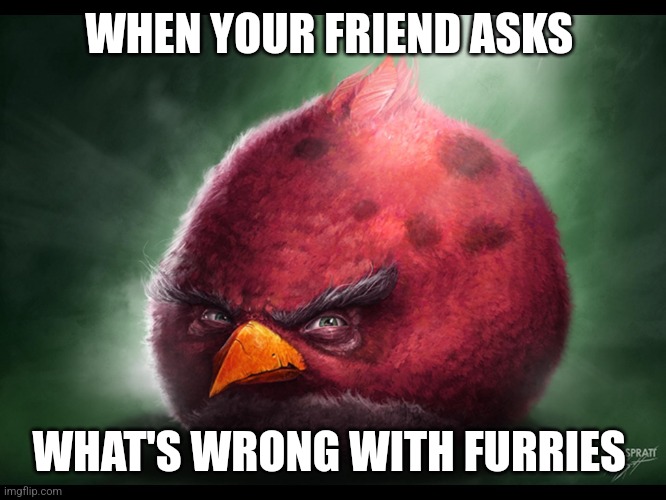 Fr | WHEN YOUR FRIEND ASKS; WHAT'S WRONG WITH FURRIES | image tagged in realistic angry bird big red | made w/ Imgflip meme maker