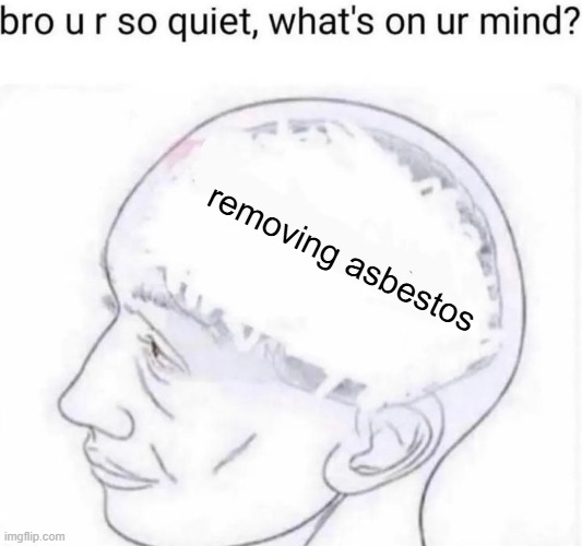 Asbestos Removal Memes | removing asbestos | image tagged in bro you're so quiet | made w/ Imgflip meme maker