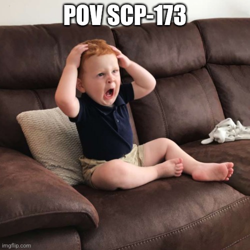 POV SCP-173 | image tagged in terrified toddler | made w/ Imgflip meme maker