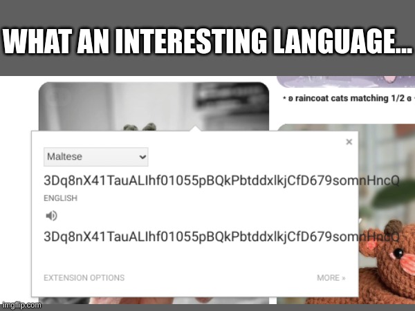 yep... | WHAT AN INTERESTING LANGUAGE... | image tagged in google translate,pinterest,stuff,idk | made w/ Imgflip meme maker