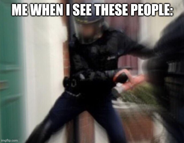 FBI Door Breach | ME WHEN I SEE THESE PEOPLE: | image tagged in fbi door breach | made w/ Imgflip meme maker